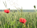 20100627 Ferry Dover to Calais and Northern France